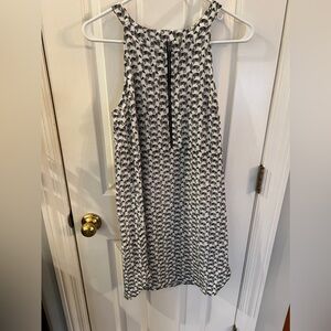 Splendid Zebra dress